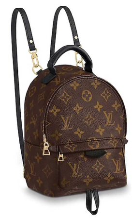 Louis Vuttion  Backpack