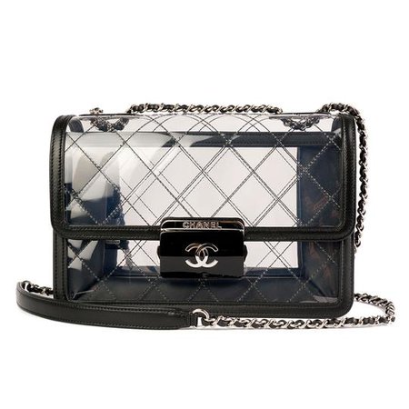 Chanel Classic Flap Naked Beauty Lock Clear Transparent Lambskin and Pvc Cross Body Bag - Tradesy