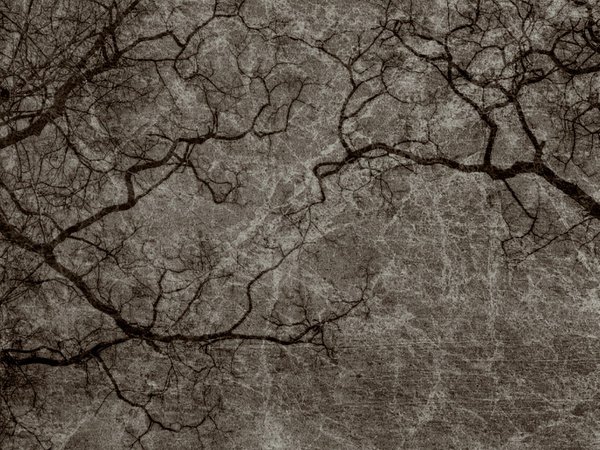 Antique Texture 14 by Inthename-Stock on DeviantArt