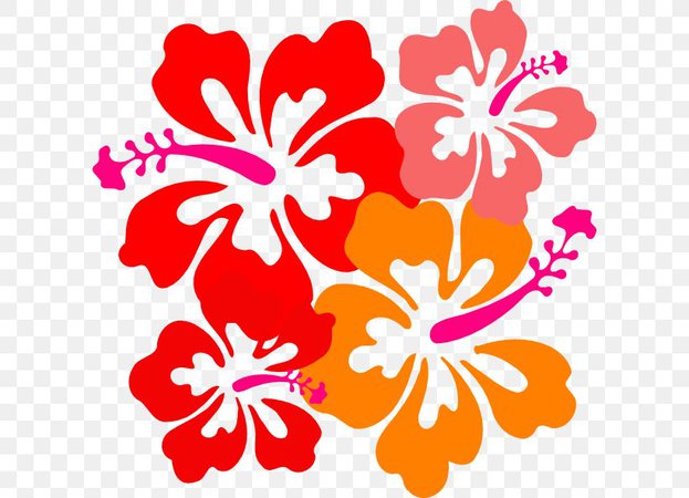 Hawaiian Hibiscus Hawaiian Hibiscus Clip Art, PNG, 600x592px, Hawaii, Artwork, Black And White, Cut Flowers, Flora Download Free