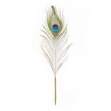 feather quill pen quill - Google Search