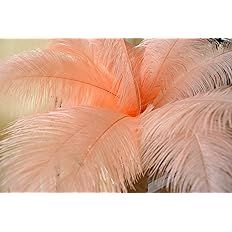 Peach Large Ostrich Feathers DIY Craft Feathers for Carnival Costumes Decoration : Arts, Crafts & Sewing