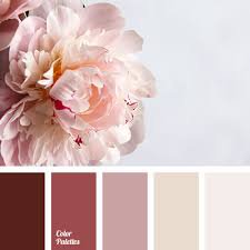 color combinations for burgundy - Google Search