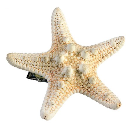 Mermaid Starfish Hair Clip – Bristol Novelty
