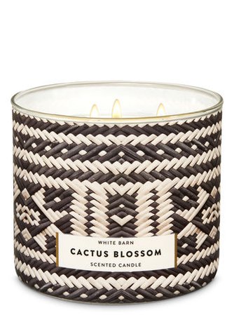 Cactus Blossom 3-Wick Candle | Bath & Body Works
