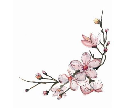 crissom blossom aesthetic - Google Search