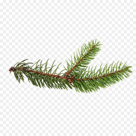 Christmas Tree Branch png download - 3600*3600 - Free Transparent Spruce png Download. - CleanPNG / KissPNG