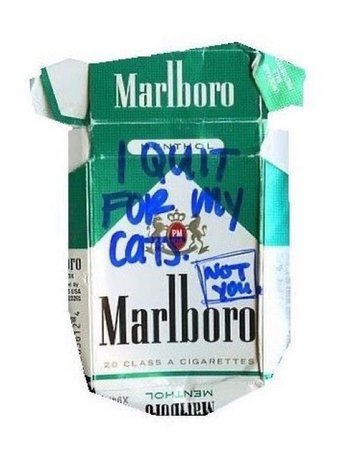 marlboro cigarettes