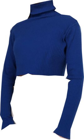 royal blue turtleneck, retro and groovy