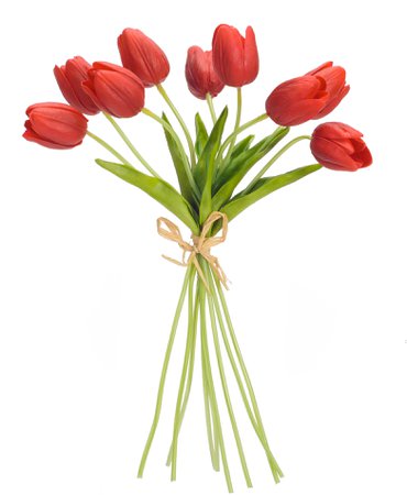 Tulip+Bundle+Floral+Arrangement+%28Set+of+6%29.jpg (1561×1899)
