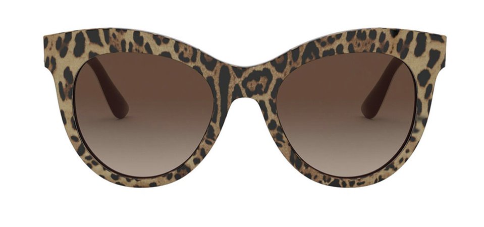 dolce & gabbana cheetah sunglasses