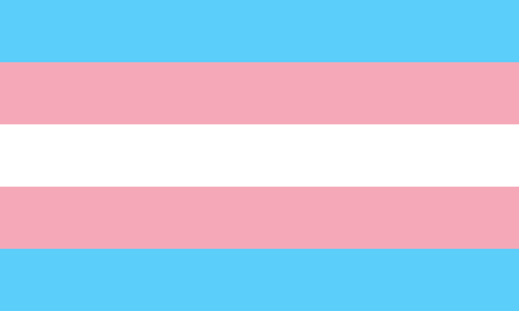 1280px-Transgender_Pride_flag.svg.png (1280×768)