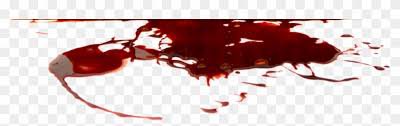 pool of blood - Google Search