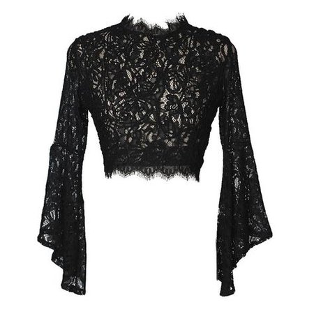 Black Long Sleeve Lace Sheer Cropped Blouse