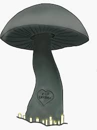rip crybaby mushroom