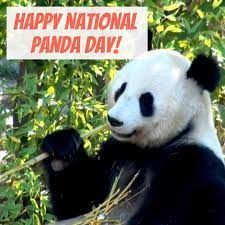 Happy National Panda Day!