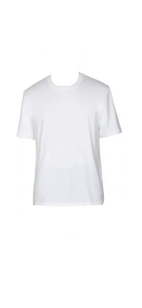 men’s white tshirt