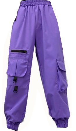 purple pants cargo pants