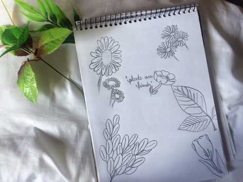 plant journal