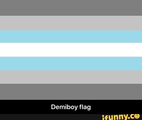 demiboy flag - Google Search
