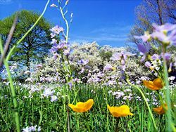 Spring (season) - Wikipedia
