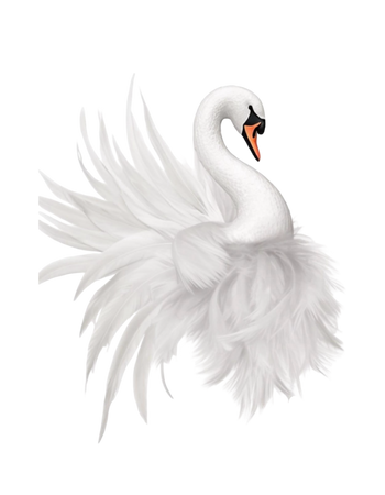 swan set