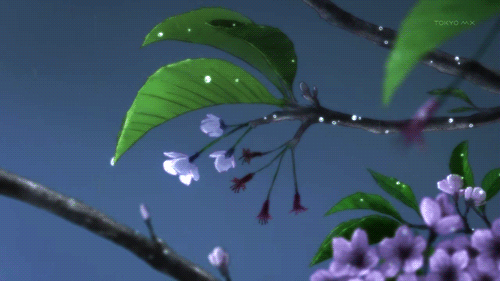 anime flower rain night