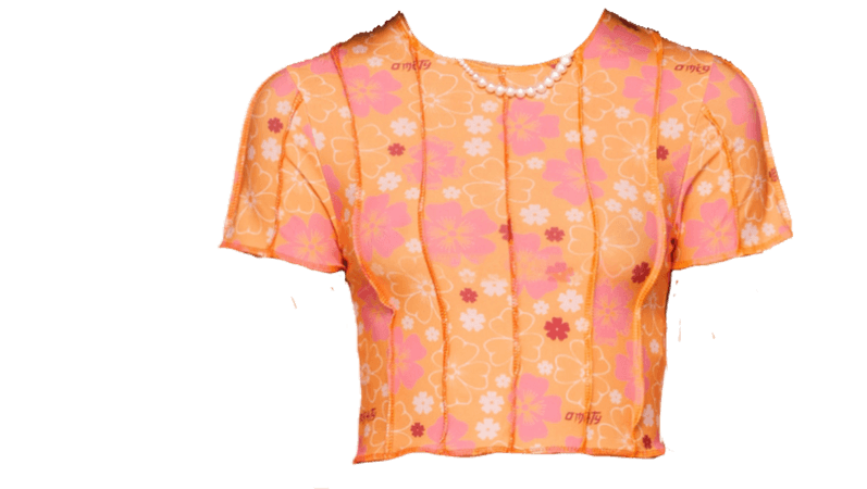 OMIGHTY

SSENSE Exclusive Orange & Pink Blossom Stitch