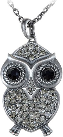 Amazon.com: Alilang Vintage Abstract Owl Bird Silvery Crystal Rhinestone Pendant Necklace: Clothing