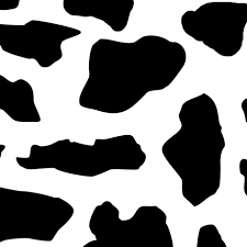 cow print - Google Search