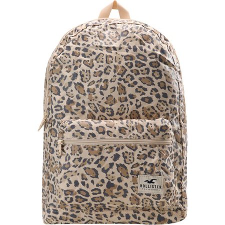 Hollister Core Canvas Backpack