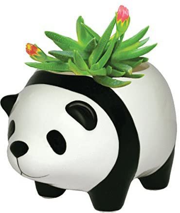 Amazon.com: Panda Bear - Plant Pot: Garden & Outdoor