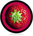 Amazon.com : The Body Shop Strawberry Deluxe Gift Set : Beauty