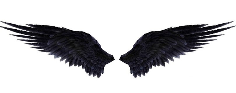 castiel wings