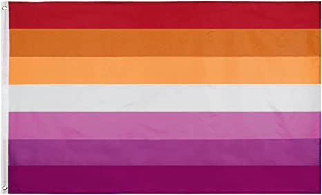 Amazon.com: Flaglink Lesbian Pride Flag 3x5 Fts - Sunset Les Rainbow Banner 7 Stripes