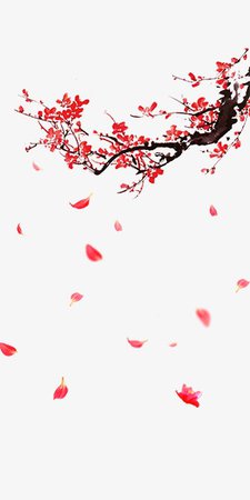 New Year Red Winter Flower Samuume, New Clipart, Winter Clipart, Flower Clipart PNG Image and Clipart for Free Download