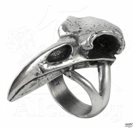 ring ALCHEMY GOTHIC - Rabeschadel - Raven - R201 - Metal-shop.eu