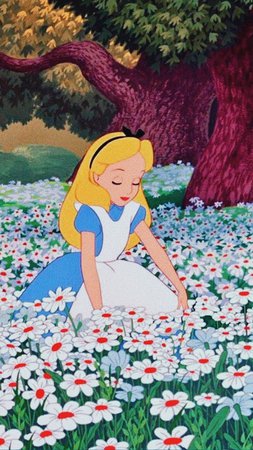 Alice in Wonderland Daisies