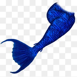 beautiful blue mermaid tails - Google Search