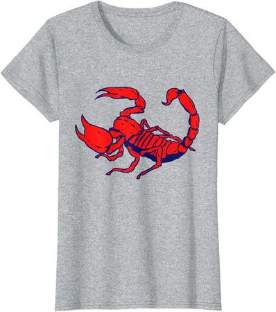 Amazon.com: Scorpio Personality Astrology Zodiac Sign T-Shirt: Clothing