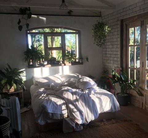 plant covered bedroom - Google Search