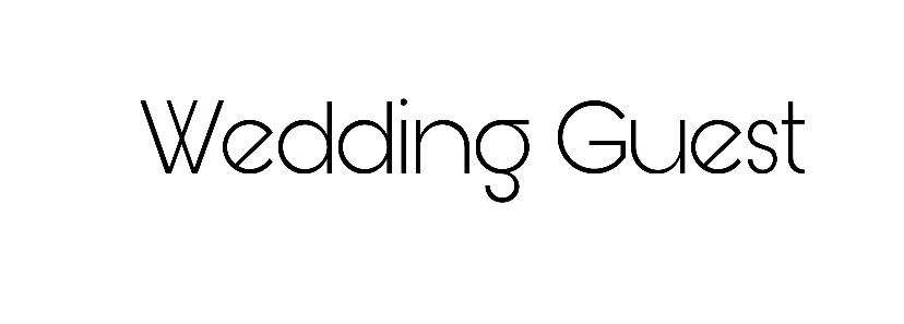 wedding guest png