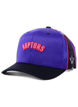 raptors hat