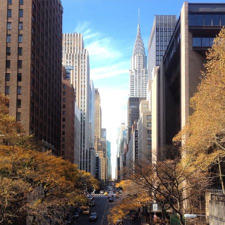 new york autumn – Google Sök