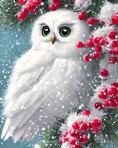 snow owls