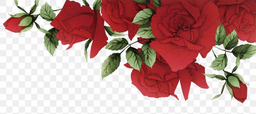 red roses png - Pesquisa Google