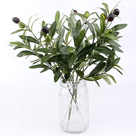 Amazon.com: OurWarm 10pcs Olive Tree Branches Artificial Olive Plant Branches Fruits Silk Olive Leaves Decor for Home Garden Office Wedding Greenery Decorations, 12" Tall: Kitchen & Dining