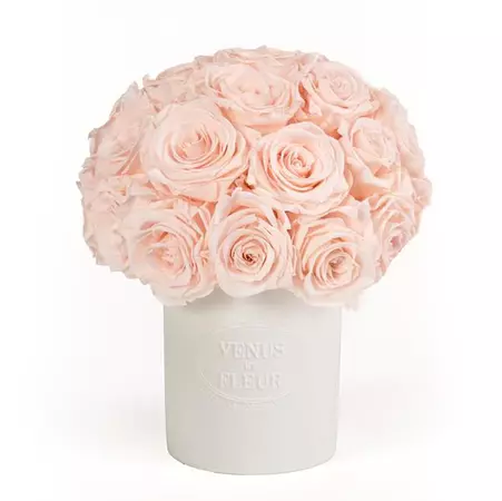 Valentine's Day Gift Guide to Eternity Flowers & Romantic Gifts – Venus et Fleur
