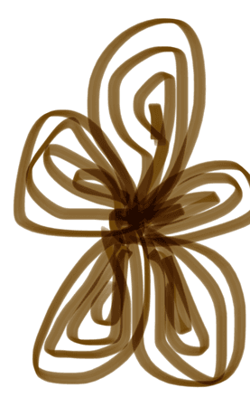 drawn flower