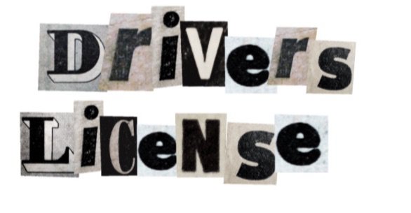 driver’s license